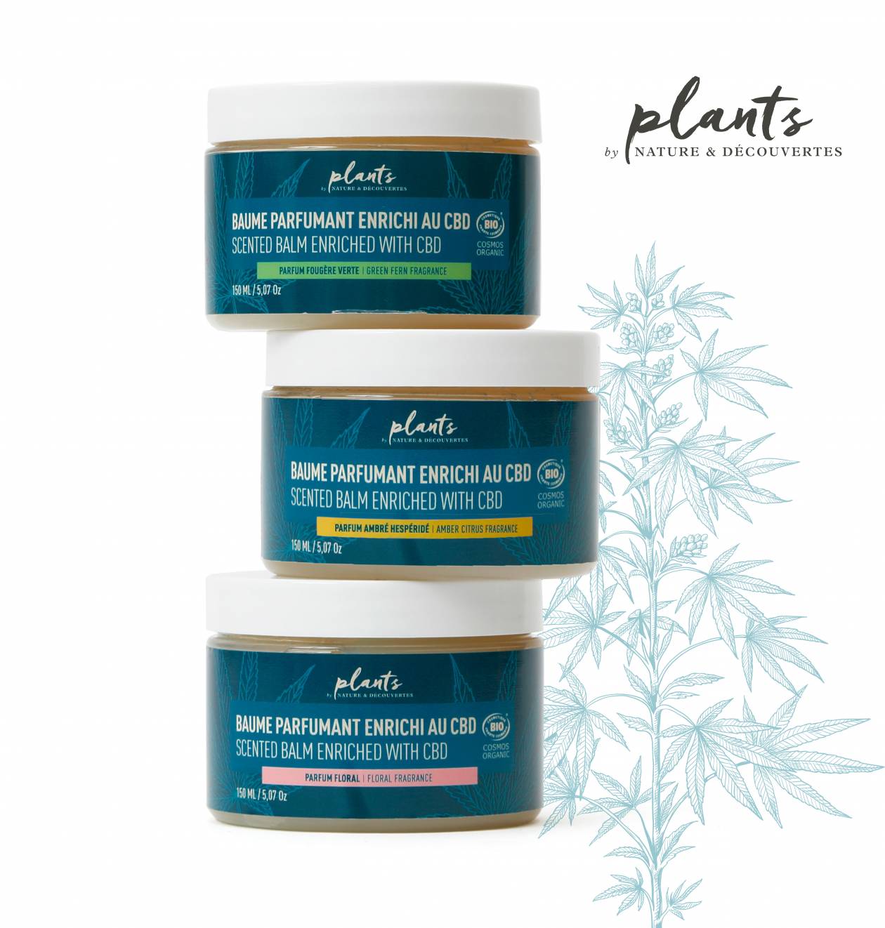 Direction Artistique • Packaging